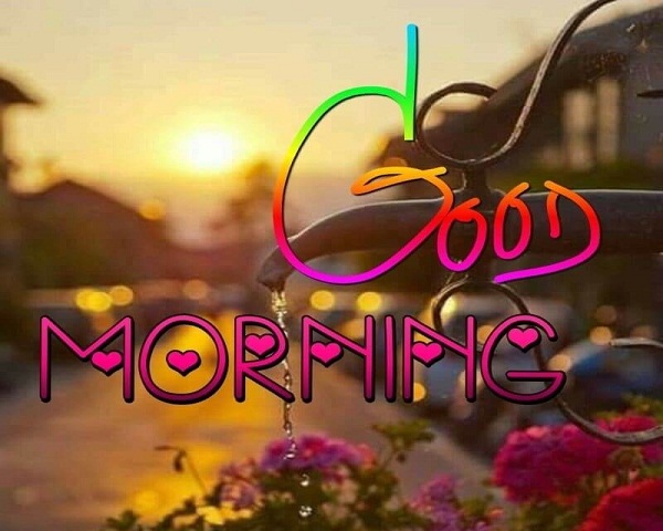 Good Morning Have a nice day