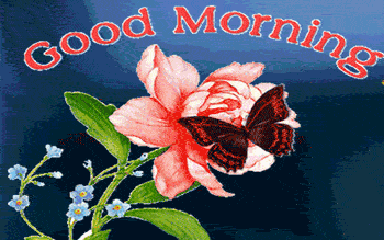 Good Morning butterfly gif images