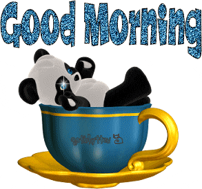 Good Morning panda GIF