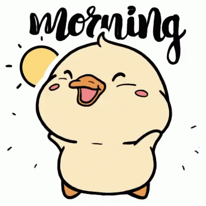 Good morning birds gif images