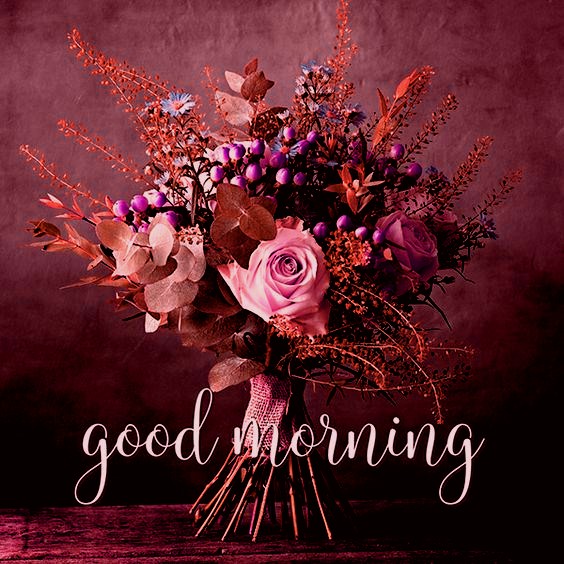ᐅTop143+ Good Morning Images HD, Morning Pictures, Wishes