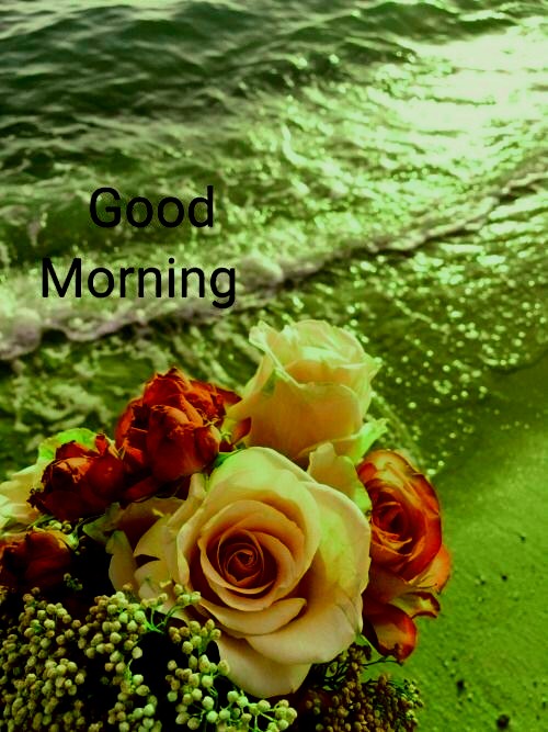 Good Morning Images Free Download For Whatsapp Hd Download