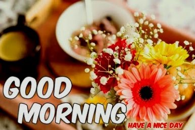 ᐅ143+ Good Morning Images HD, Morning Pictures, Wishes
