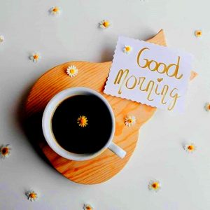 Good Morning Quotes with Image