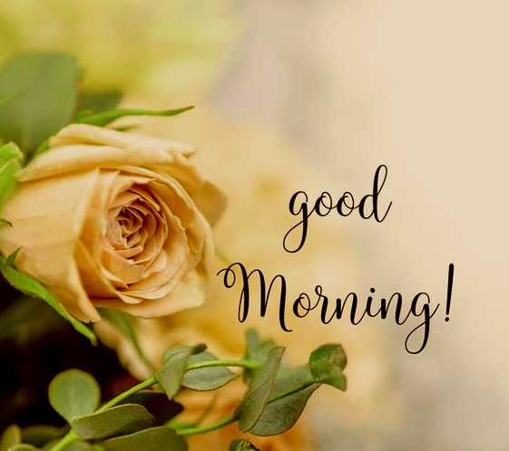 good morning images hd 1080p download 2019