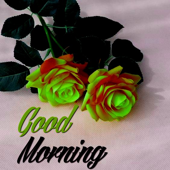 good morning images hd 1080p download 2020