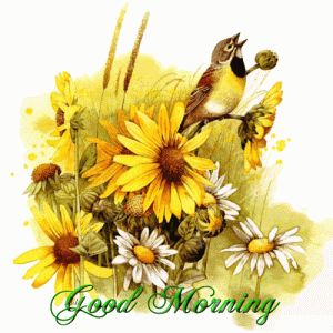 Good Morning GIF flower