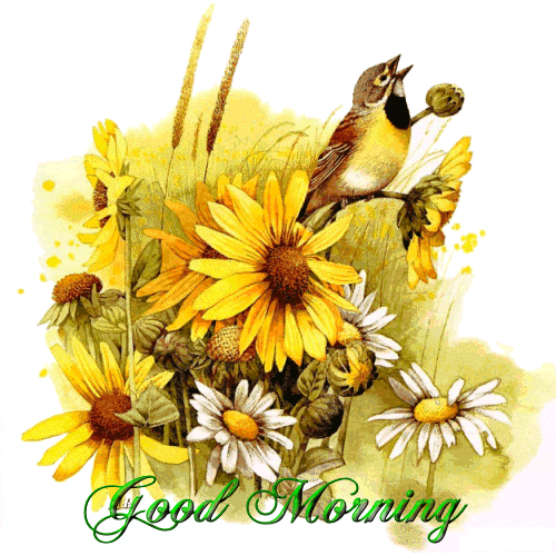 Good Morning GIF flower | Good Morning GIFs