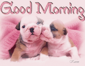 Good Morning GIF images