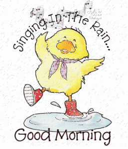 Good Morning GIF with Duck