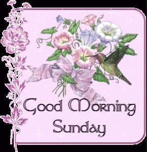 Good Morning Sunday GIF