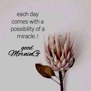 Good morning Images with Quotes