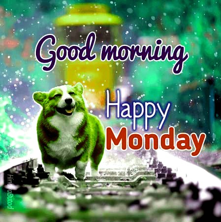Featured image of post Humorous Good Morning Happy Monday Humor