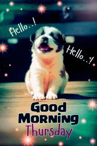 Good Morning Thursday