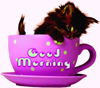 Good morning cat image