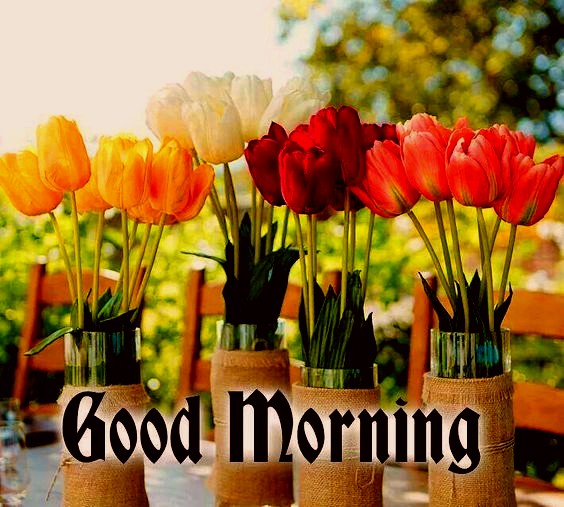 Good morning flowers images