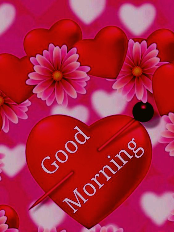Good morning my love images