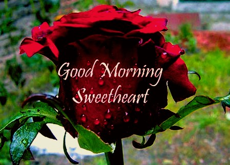 Good morning my sweet heart