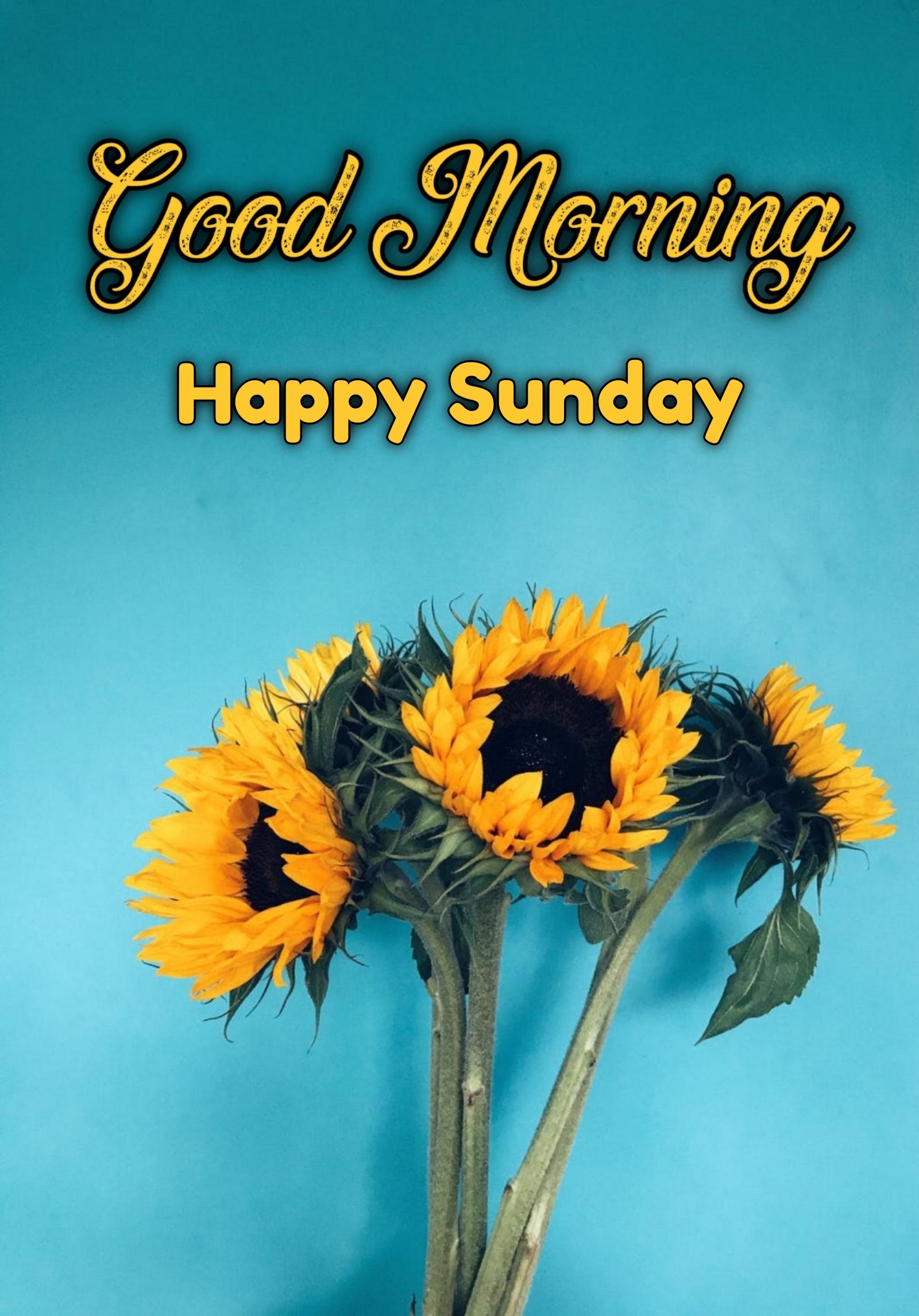 ᐅTop143+ Good Morning Happy Sunday Images & GIFs