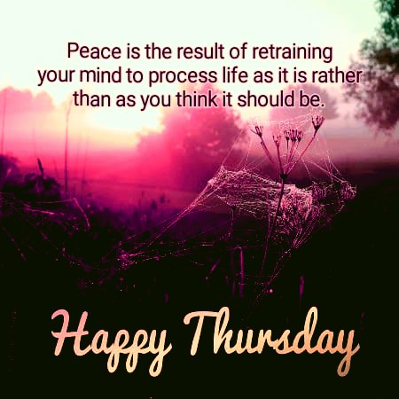 Happy Thursday Images and Quotes