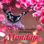 ᐅ Top 30+ Happy Monday Images, Pictures, Photos GIFs