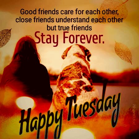 Tuesday quotes for friends