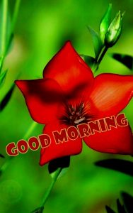 good morning america deals