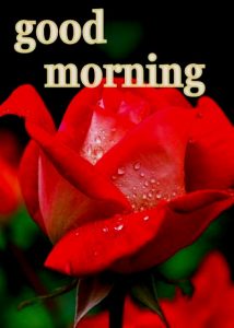 good morning america steals and deals