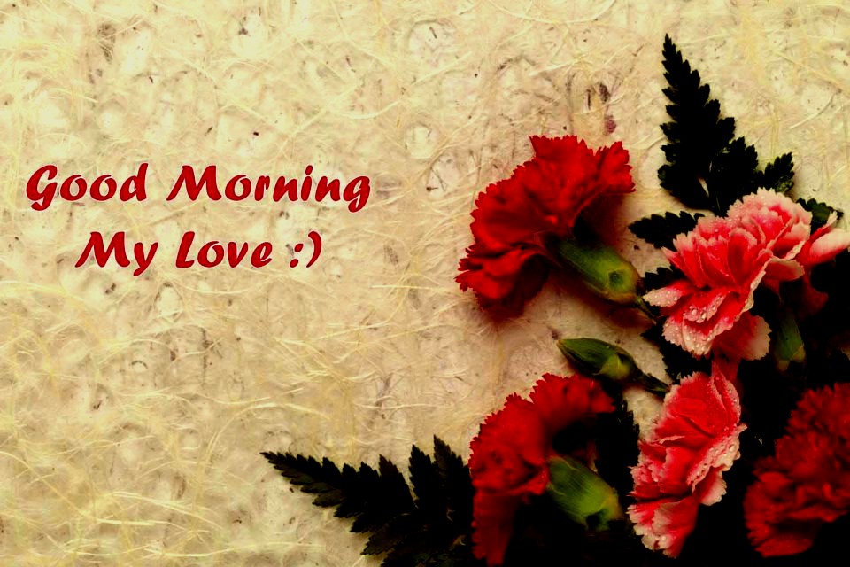 good morning flowers for love