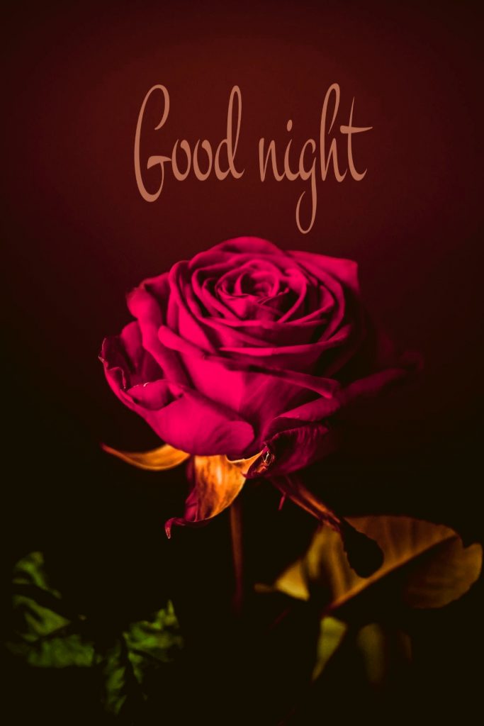 ᐅ Top 55 Good Morning Images With Flowers Hd Pictures