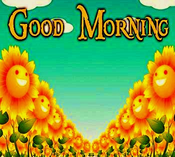 good morning smile flowers images