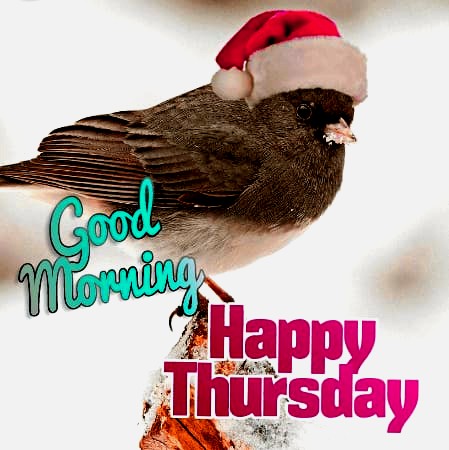 good morning thursday