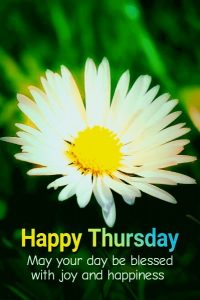 happy thursday flowers