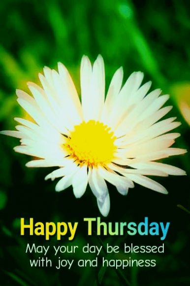 ᐅTop99+ Happy Thursday Images, Pictures, Photos, GIFs