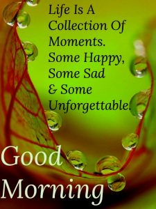Good Morning Images with Quotes