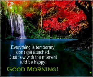 Good Morning Images with Quotes