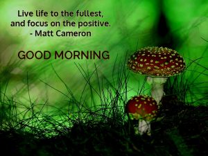 Good Morning Images with Quotes