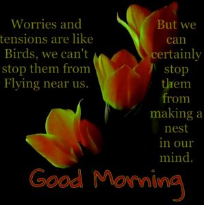 Good Morning Images with Quotes