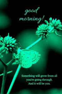 Good Morning Images with Quotes