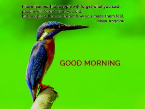 Good Morning Images with Quotes