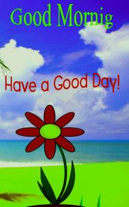 Good Morning Images Free Download For Whatsapp