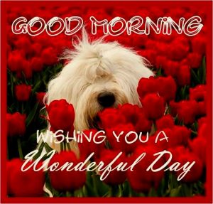 Good Morning Sweetie Images