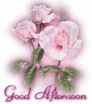 Good Afternoon Flowers GIF