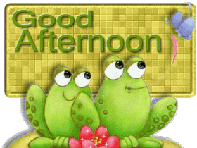 Good Afternoon Frog GIF