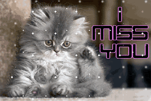 Miss You GIF Funny