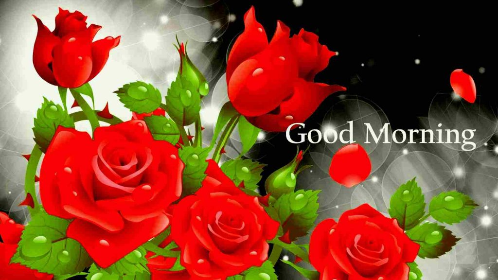 Good Morning Flowers