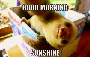 funny good morning memes