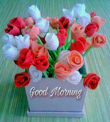 good morning wishes with flowers