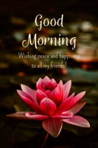 good morning wishes with flowers