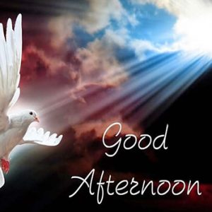 Beautiful Good Afternoon GIF Images
